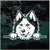 Siberian Husky Peeking Doggie In The Window Decals Siberian Husky Peeking Doggie In The Window Decals