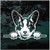 Welsh Corgi Peeking car window decals stickers