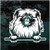 Pekingese Peeking Doggie In The Window Decals