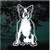 Cute Boston Terrier Sitting car window decals stickers