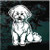 Happy Bichon Frise Sitting Window Decals Happy Bichon Frise Sitting Window Decals