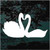 Pair Of Swans Silhouette decals stickers