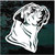 Noble Boerboel Dog Decals Noble Boerboel Dog Decals