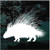 African Porcupine decals stickers African Porcupine decals stickers