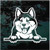 Akita dog looking out the window decals stickers