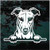 Greyhound Peeking Doggie In The Window Decals