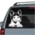 Kitty Cat Looking Out The Window car window decals stickers