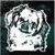 Beautiful Pekingese car window decals stickers