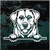 Labrador Retriever In The Window Decals
