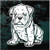 English Bulldog Puppy Sitting car window decals stickers