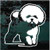 Pretty Bichon Frise car window decals stickers