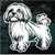 Cute Maltese decals stickers