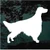 Silhouette Irish Setter decals stickers