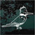 Kingfisher decals stickers
