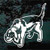 Beagle Tracking car window decals stickers