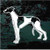 Amazing Greyhound car window decals stickers