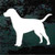 Labrador Retriever Silhouette car window decals stickers