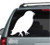 Crow Window Decals Stickers Crow Window Decals Stickers