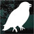 Crow Silhouette decals stickers