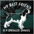 My Best Friend is a Springer Spaniel car window decals stickers