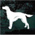 Solid Irish Setter Decals Solid Irish Setter Decals
