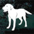 Solid Labrador Retriever Decals