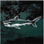 Shark Outline decals stickers Shark Outline decals stickers