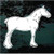 Pretty Clydesdale Horse car window decals stickers