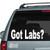 Got Labs? Stickers Got Labs? Stickers