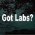 Got Labs? Decals Got Labs? Decals