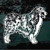 Detailed Australian Shepherd car window decals stickers