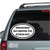 Consciousness That Annoying Time Between Naps Car Window Decals Consciousness That Annoying Time Between Naps Car Window Decals