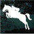 Jumping Horse With Rider Decals Jumping Horse With Rider Decals