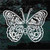 Butterfly Moth car window decals stickers Butterfly Moth car window decals stickers