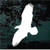 Soaring Eagle Silhouette Window Decals