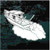 Charter Fishing Boat Decals