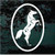 Arabian Horse Oval car window decals stickers