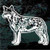 Beautiful Australian Cattle Dog car window decals stickers