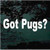 Got Pugs? Decals Got Pugs? Decals