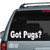 Got Pugs? Stickers Got Pugs? Stickers