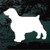 Welsh Springer Spaniel Silhouette Decals