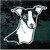 Italian Greyhound Head car window decals stickers