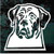 English Mastiff Head 02 Window Decal