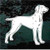 Weimaraner Puppy car window decals stickers
