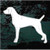 Weimaraner Dog Profile car window decals stickers