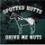 Spotted Butts Drive Me Nuts Appaloosa Horse car window decals stickers