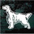 Pretty English Setter car window decals stickers