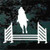 Horse Jumping car window decals stickers