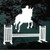Equine Horse Jump Horse Jumping Decals