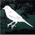 Detailed Bird Decals Stickers Detailed Bird Decals Stickers